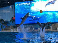 -泉城欧乐堡海洋极地世界