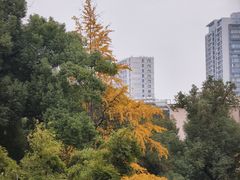 -白沙古井