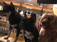 -萌喵咖啡屋(人民东路4号口M16商铺店)