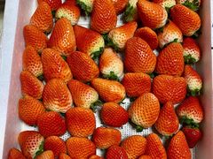 草莓-江杨农产品批发市场