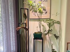 -王府茶楼茶宴·创意菜(大观园总店)