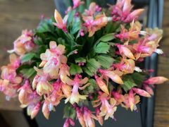 -隐食餐厅(金水湾公馆店)