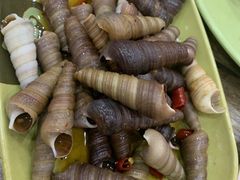 和味炒丁螺-贞姨美食·老字号海鲜大排档