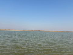 -盐城丹顶鹤湿地生态旅游区