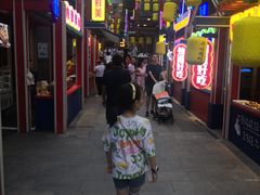 -鸿恩陶然大观园