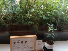-小茶闲舍·观景商务茶馆(广州塔店)