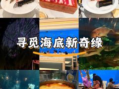 -三亚海昌梦幻海洋不夜城