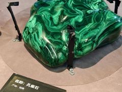 -浙江自然博物院(杭州馆)