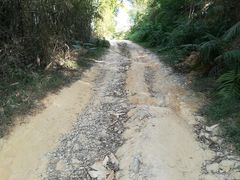 -黄埔油麻山森林公园