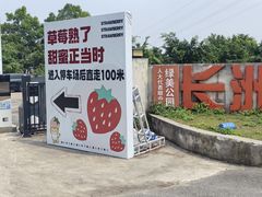 -长洲岛