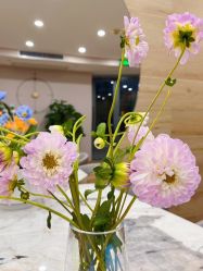 -酉嘉瑜伽YO+YOGA