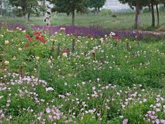 -汉长安城未央宫国家考古遗址公园