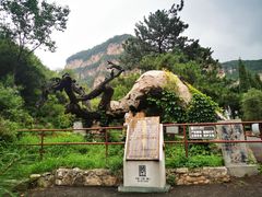-藏山旅游风景区