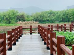 -长兴太湖图影湿地文化园