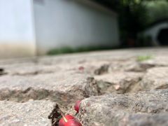-汇龙潭