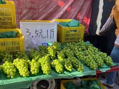 -巴城镇马料江村葡萄园