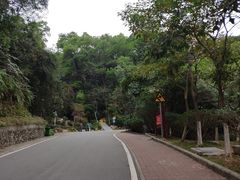 -火炉山森林公园
