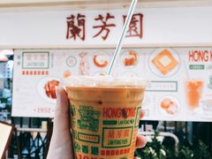丝袜奶茶-兰芳园(上环店)
