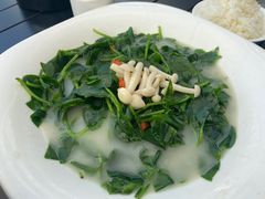 -百鱼庄(仙葫店)