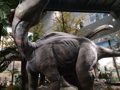 -湖南省地质博物馆