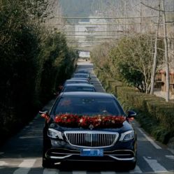 -喜乐汇·婚车(华润橡树湾3期店)