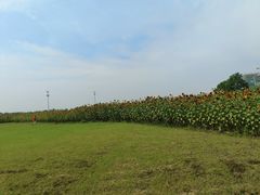 -映月湖中央公园