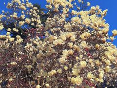 -山东大学(趵突泉校区)