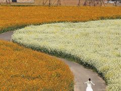 -中国天府农业博览园