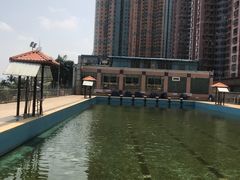 -黄金海岸水上乐园