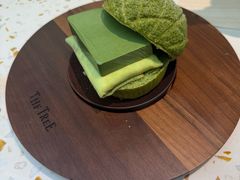 -大树餐厅(环球港店)