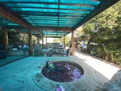 -华侨城阳宗海海景温泉