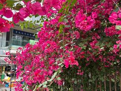 -万达广场(巴南店)