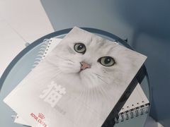 -柏萃动物医院·骨科·牙科