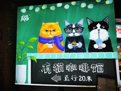 -有猫主题·治愈系猫咖(曾厝垵店)