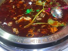 -蛙一刀·麻椒鱼火锅(金仙桥店)