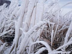-萍乡武功山风景名胜区