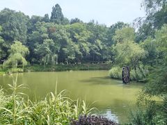 -古隆中景区