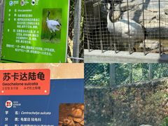 -宁波野生动物园
