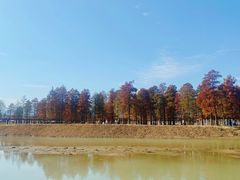 -四明湖