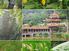 -深圳仙湖植物园