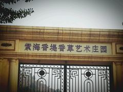 -紫海香堤香草艺术庄园
