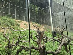 -宁波野生动物园