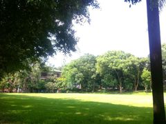 android_upload_pic-中山大学学者灵芝(园南路店)