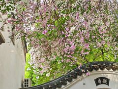 -深圳国际园林花卉博览园