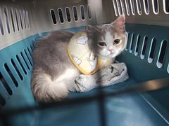 -联合动物医院(光谷诊疗中心)