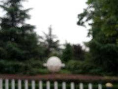 -莱西月湖公园