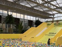 -南宫五洲植物乐园