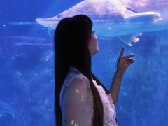 -重庆欢乐海底世界
