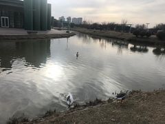 -西安浐灞国家湿地公园