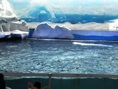 -秦皇岛乐岛海洋王国